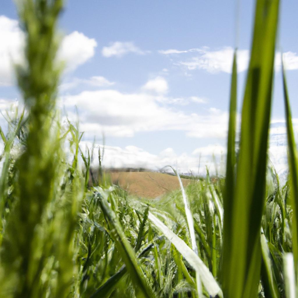 Desvendando Novos Horizontes: Como a Pós-Graduação Impulsiona Carreiras no Agronegócio